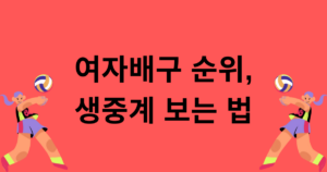 여자배구 순위, 생중계 보는 법